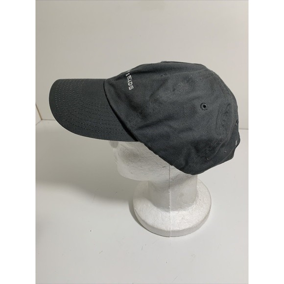 Rodan and Fields Adjustable Strap Baseball Hat Cap "10 Years of Skin Care" - Picture 3 of 12